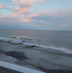 Meet your Posher, Janet